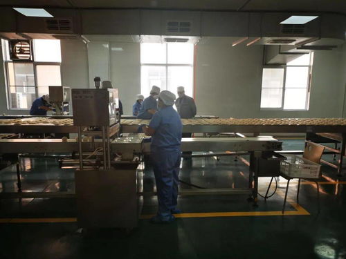 陜西五大供應鏈行業標桿企業創始人齊聚，分享數字化轉型之路與西安網站建設經驗