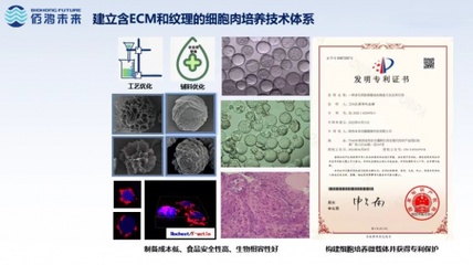 細胞培養肉技術新突破 佰鴻引領國際微載體誘導成肌技術，開創蛋白新篇章