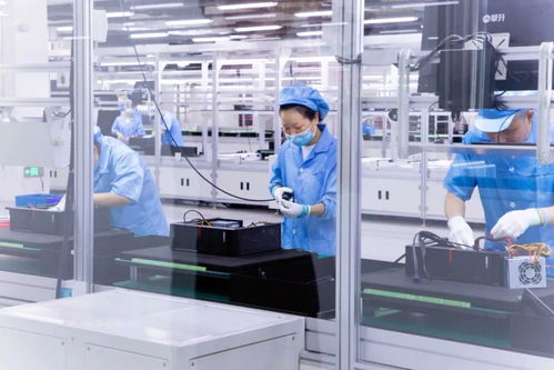 武漢黃陂 打造科技創新應用承載區，推動細胞技術研發與應用成果孵化